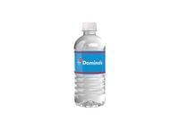 Domino's Bottled Water