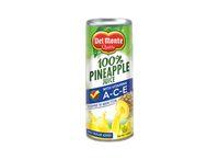 Pineapple In Can