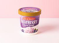 Frozen Yogurt Blueberry Pint