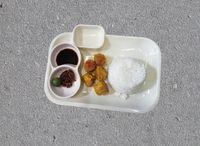 Fried Pork Siomai With Rice